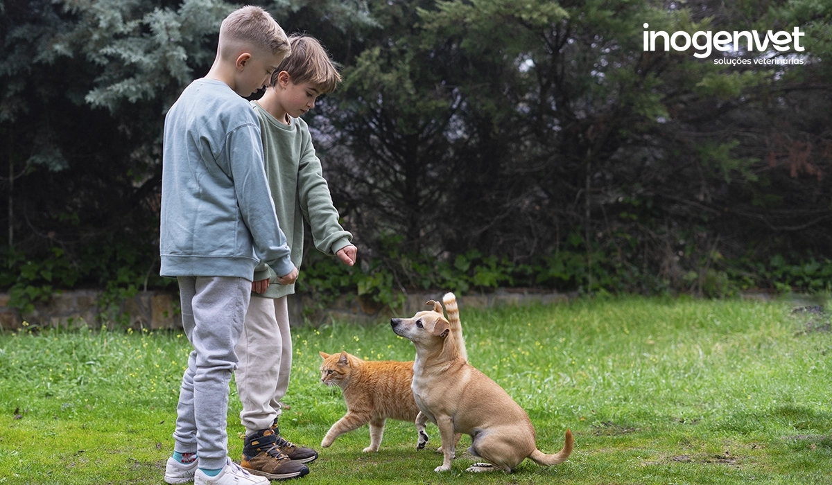 Benefícios das interações entre humanos e animais de estimação: mais saúde, mais felicidade! 