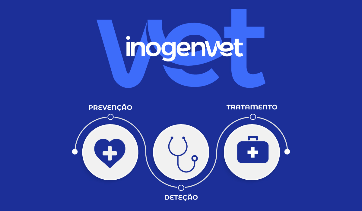 Promovendo o Uso Consciente dos Antibióticos: Um Compromisso pela Saúde Global 
